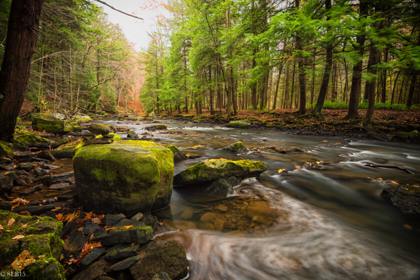 Laurel Hill Creek SLB Photography