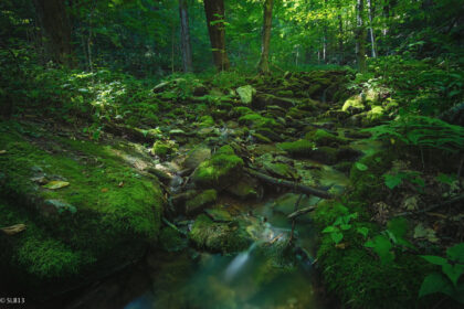 Blue Knob State Park