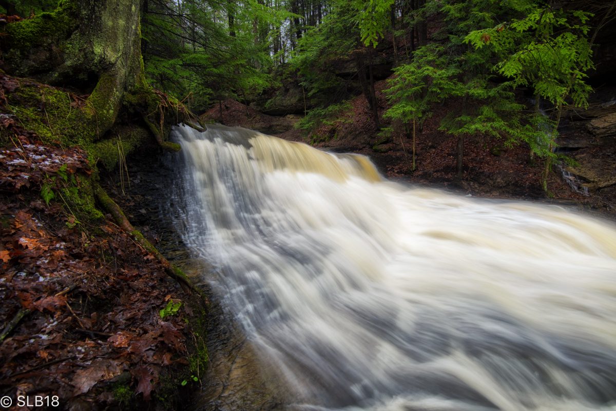 McConnell's Mill