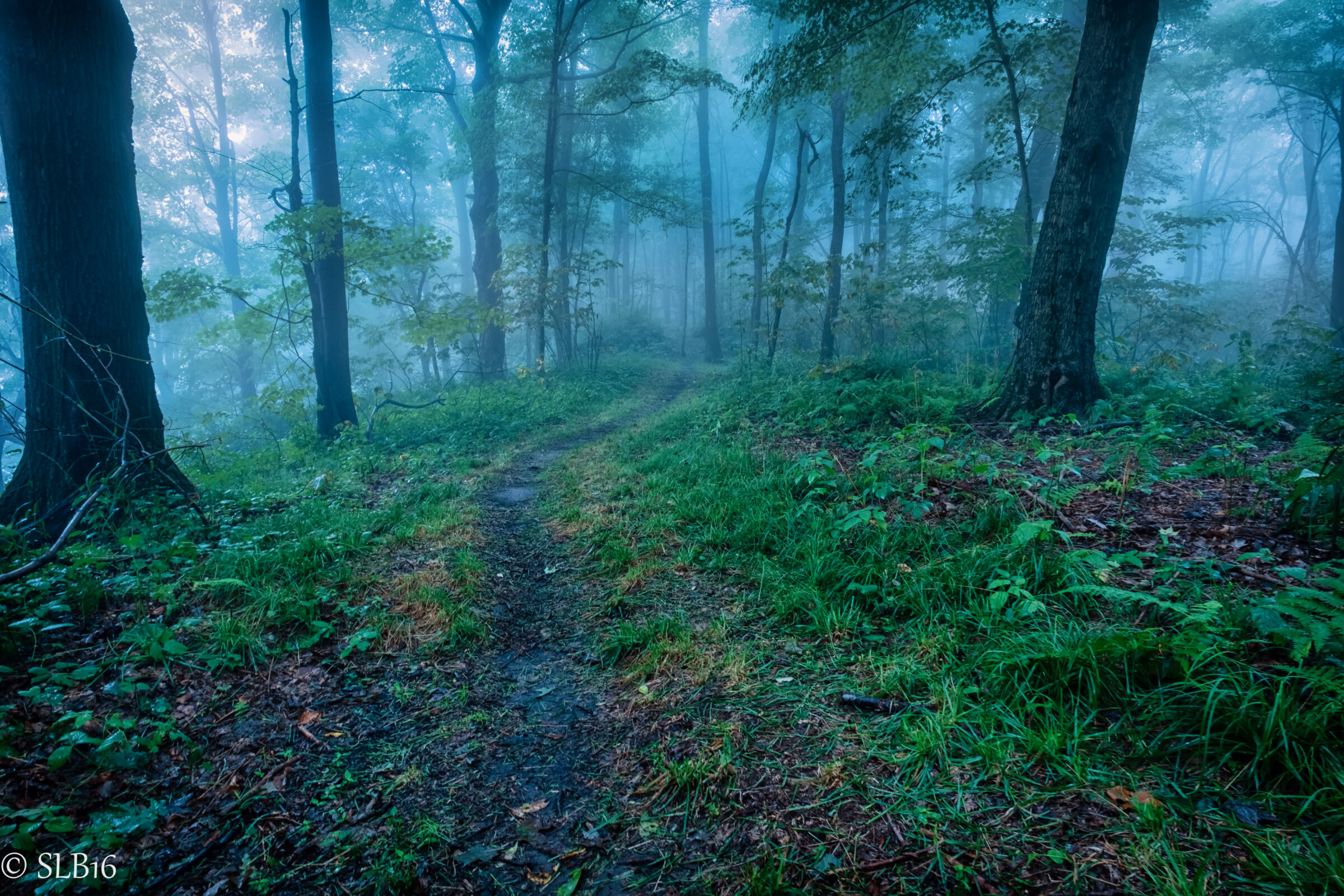 backpacking-the-laurel-highlands-trail-slb-photography