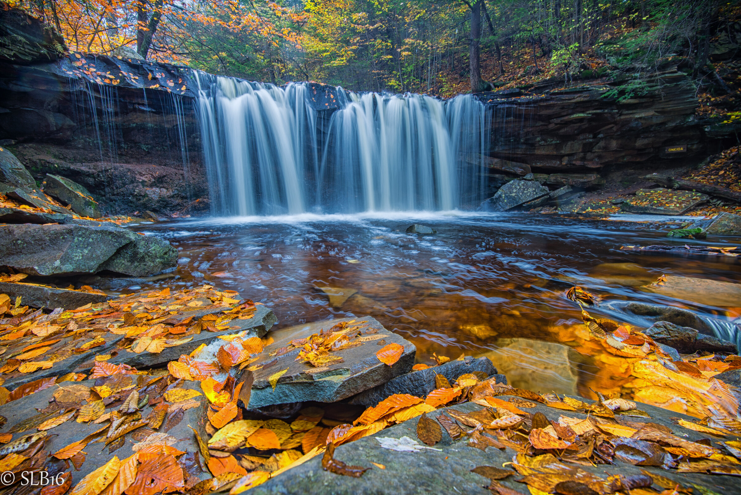 Ricketts Glen State Park SLB Photography
