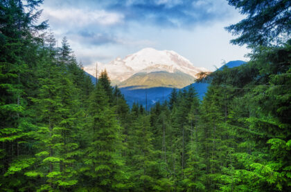 Mt. Rainier National Park