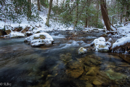 Linn Run Creek