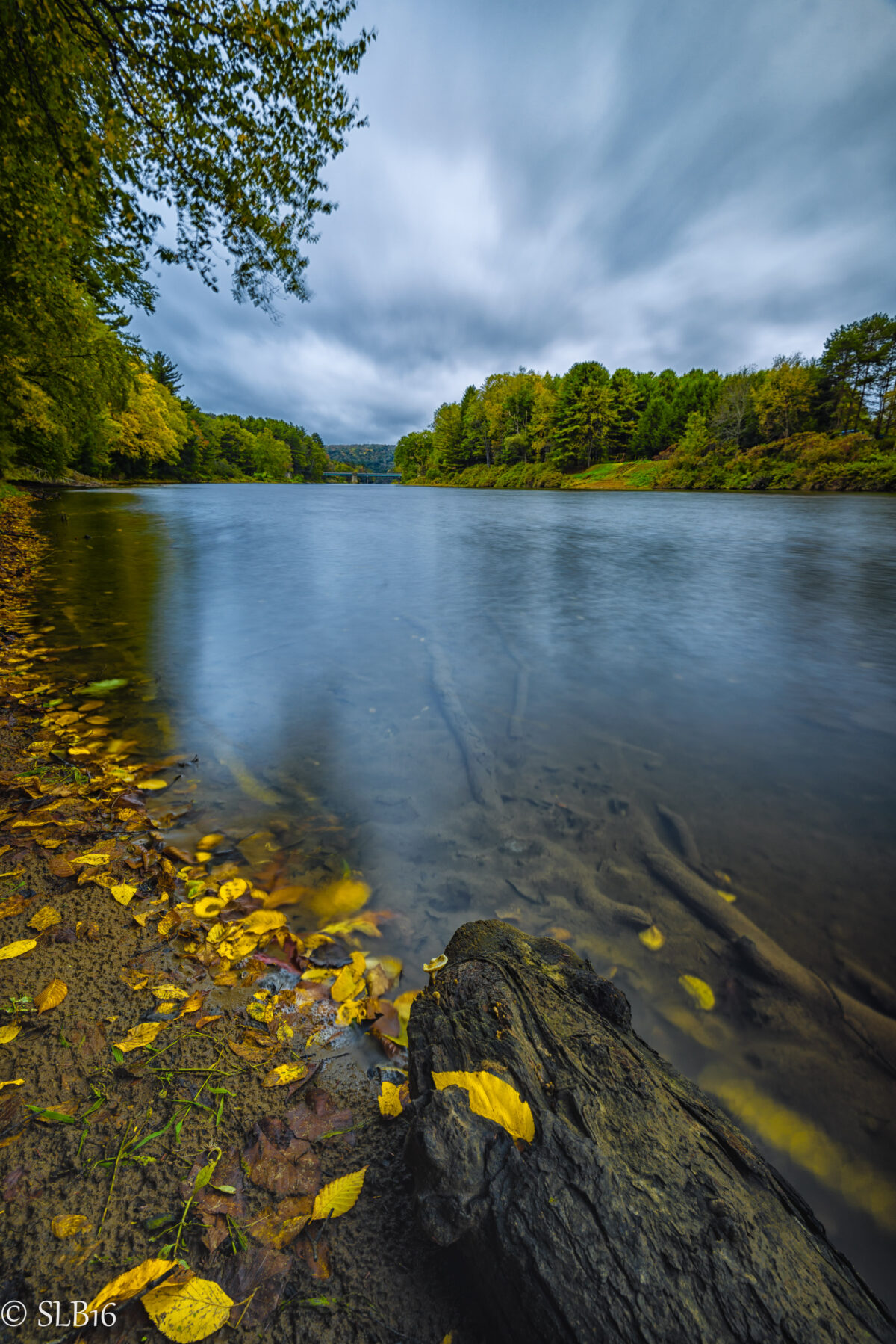 Clarion River shore line