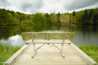 Bench in the foreground overlooking a pond with green trees in the background.