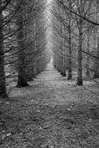 Moraine State Park