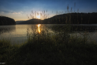 Raccoon Creek